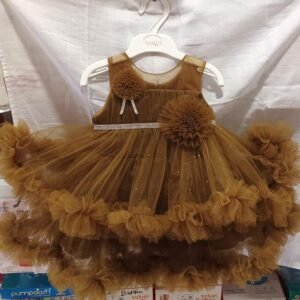 Golden Blossom Baby Girl Frock