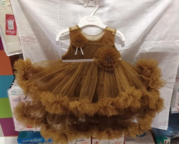 Golden Blossom Baby Girl Frock